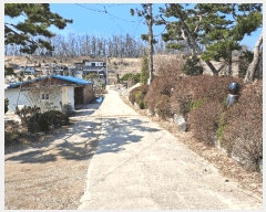  2025Ÿ��30414  �����