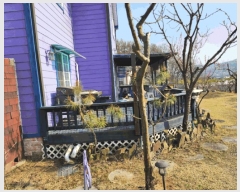  2025Ÿ30435  ֽ ݰ  461-20      ð