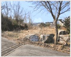  2025Ÿ30444    ø 460-27      (Ӿ)