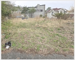  2025Ÿ30444    ø 460-27      (Ӿ)