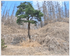  2025Ÿ30448   ݿ ۸ 70-16      (Ӿ)