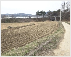  2025Ÿ30457   Ｚ 縮 21-1      (1)