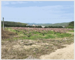  2025Ÿ��30490  �����