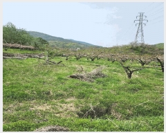  2025Ÿ��30490  �����