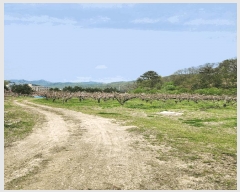  2025Ÿ��30490  �����