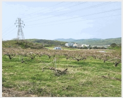  2025Ÿ��30490  �����