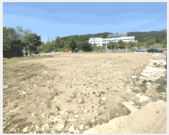  2025Ÿ��30495  �����Ұ��