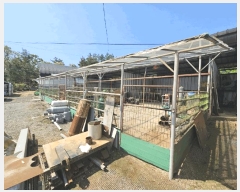  2025Ÿ30514  ֽ ִ  651-1      ð