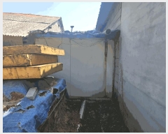  2025Ÿ30514  ֽ ִ  651-1      ð