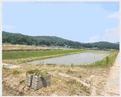  2025Ÿ��30537 ��� ���ֽ� �Ӽ��� ������ 39      ����(��)���