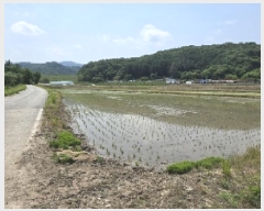  2025Ÿ��30537 ��� ���ֽ� �Ӽ��� ������ 39      ����(��)���