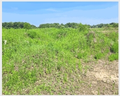  2025Ÿ��30544  �Ӿ߰��