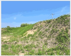  2025Ÿ��30544  �Ӿ߰��