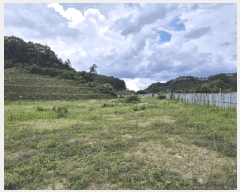  2025Ÿ��30559 ��� ������ ������ ���츮 100      ����(��1)���