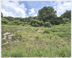  2025Ÿ��30559 ��� ������ ������ ���츮 100      ����(��1)���