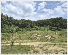  2025Ÿ��30559 ��� ������ ������ ���츮 100      ����(��1)���