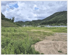  2025Ÿ��30559 ��� ������ ������ ���츮 100      ����(��1)���