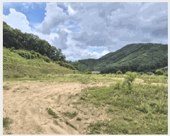  2025Ÿ��30559 ��� ������ ������ ���츮 100      ����(��1)���