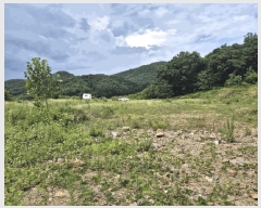  2025Ÿ��30559 ��� ������ ������ ���츮 100      ����(��1)���