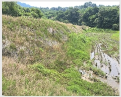  2025Ÿ��30567 ��� ���ֽ� ���¸� ��ġ�� 540-4      ����(��)���