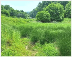  2025Ÿ��30567 ��� ���ֽ� ���¸� ��ġ�� 540-4      ����(��)���