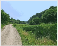  2025Ÿ��30567 ��� ���ֽ� ���¸� ��ġ�� 540-4      ����(��)���