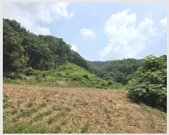  2025Ÿ��30615  �Ӿ߰��