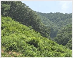  2025Ÿ��30615  �Ӿ߰��