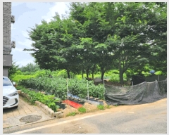  2025Ÿ��30620  �Ӿ߰��