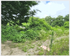  2025Ÿ��30620  �Ӿ߰��