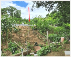  2025Ÿ��30620  �Ӿ߰��