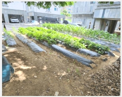  2025Ÿ��30620  �Ӿ߰��