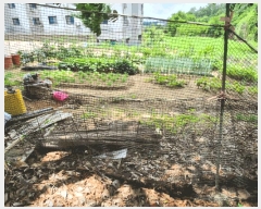  2025Ÿ��30620  �Ӿ߰��