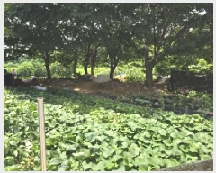  2025Ÿ��30620  �Ӿ߰��