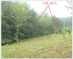  2025Ÿ��30646 ��� ���ֽ� ���Ⱥ��� �̸��� 6      ����(��1)���