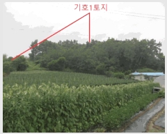  2025Ÿ��30646 ��� ���ֽ� ���Ⱥ��� �̸��� 6      ����(��1)���