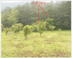  2025Ÿ��30646 ��� ���ֽ� ���Ⱥ��� �̸��� 6      ����(��1)���