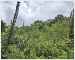  2025Ÿ��30663  �Ӿ߰��