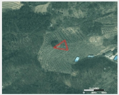  2025Ÿ��30663  �Ӿ߰��