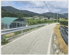  2025Ÿ��30705  �����