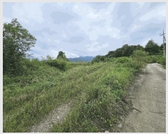  2025Ÿ��30705  �����