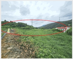  2025Ÿ��30705  �����