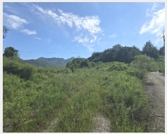  2025Ÿ��30705  �����