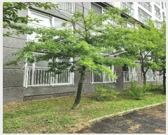  2025Ÿ��30719 ��� ���ֽ� �߾�ž�� ������ 696 �ſ��񰡷ξ���Ʈ 109�� 1��105ȣ   ����Ʈ���