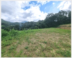  2025Ÿ��30727  �����