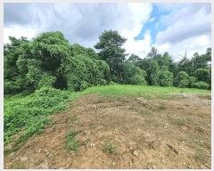  2025Ÿ��30727  �����