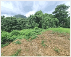  2025Ÿ��30727  �����