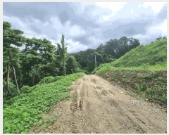  2025Ÿ��30727  �����