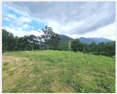  2025Ÿ��30727  �����