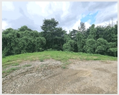  2025Ÿ��30727  �����